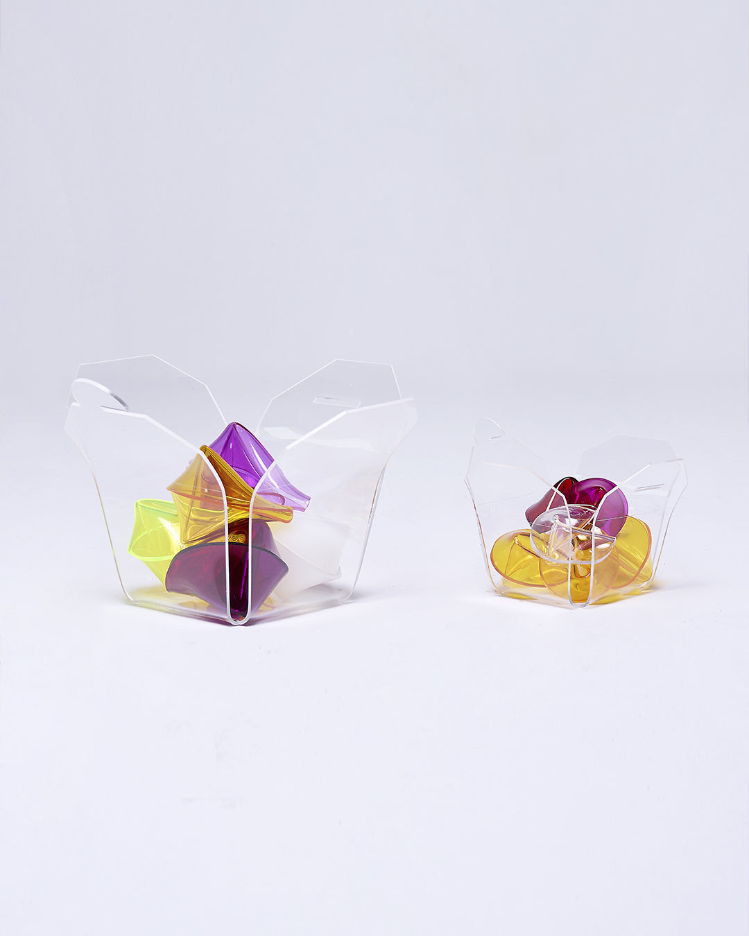 Fortune Cookie Box Regular
