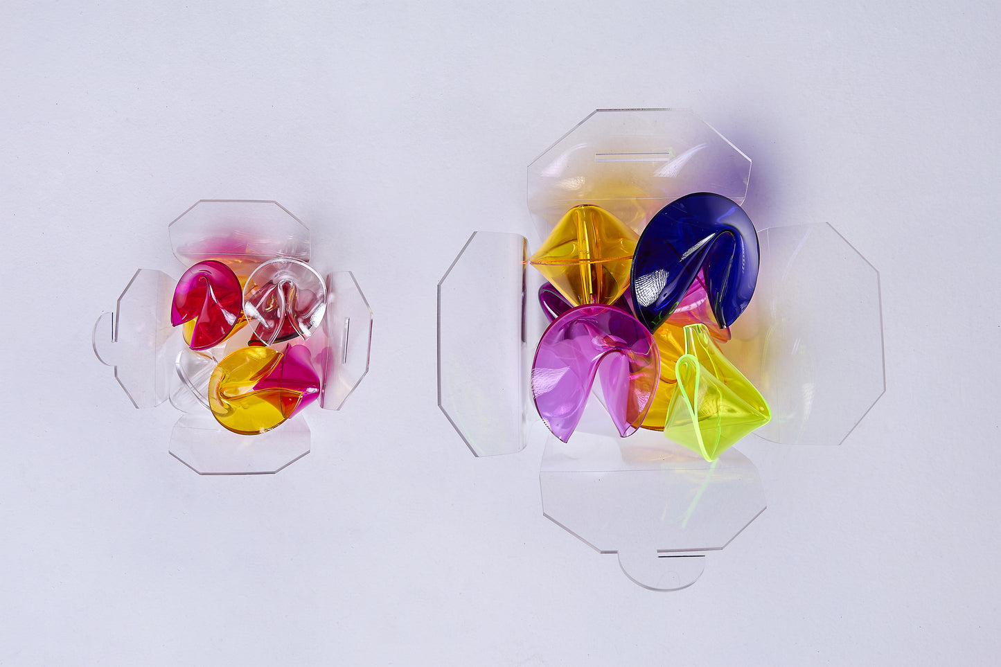 Fortune Cookie Box Regular